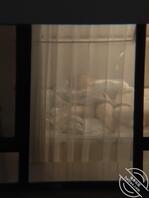 真诱人  你们有拍到过的么 分享一下2