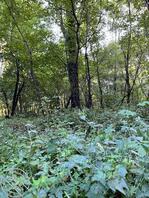 各位大神求这个女优的名字。2