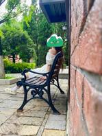 七年舔狗逆袭之路（四）贪婪的小姨子总是无止境索取