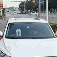 路边小骚货车里秀美足1