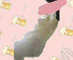 想操小姨子，求大神指点1