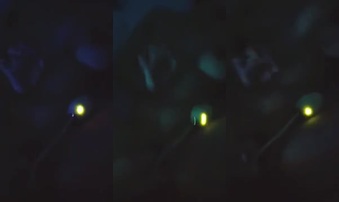 00后广州大一学妹