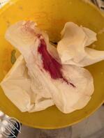 11.原计划这个周末再操妹妹，不巧的是妹妹来月经了0