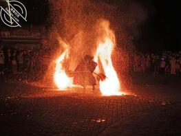 现在不晓得咋办了。完全不理我了2