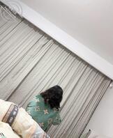 继续聊聊草了喝多的妈妈0