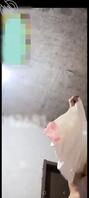 昨晚和老妈聊天，睡前换睡衣看到了她奶子和内裤，我手快截了图1
