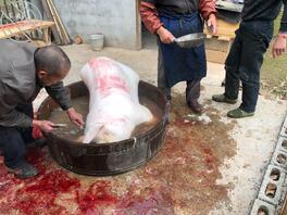 7)趁着女儿睡觉，潜入房问强奸她!心里突然放大了我的欲望2