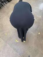 网友投稿【昆明居家骚逼少妇】0
