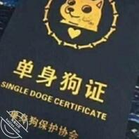 拉萨拉萨拉萨0