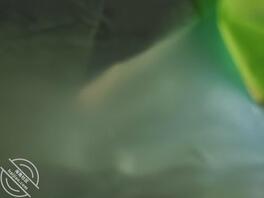 来个饥渴母狗榨干坚挺大屌