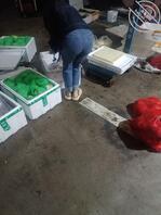 每次从后面看鸡儿梆硬0