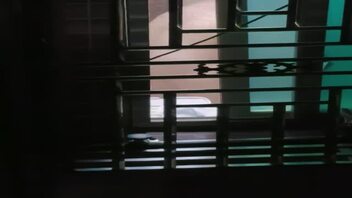 邻居也疯狂