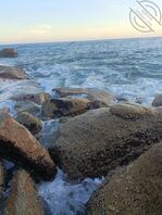 求大神帮忙调教小姨子，特别想操她0