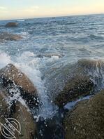 求大神帮忙调教小姨子，特别想操她2