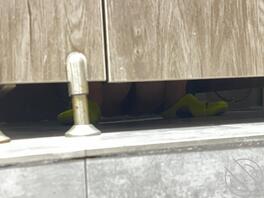 求助怎么拍的更清楚2