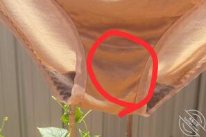 丈母娘看到我鸡吧了2