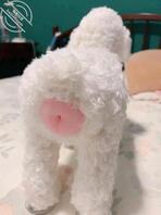 新买的玩具充气娃娃，女儿孕妇2