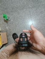 求虐，求温州女主1