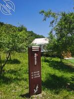 我和嫂子的故事