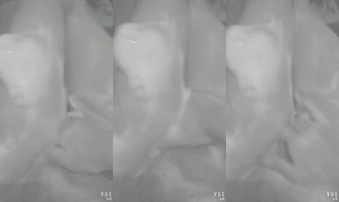 【处女自慰】99年深圳小母狗的美腿