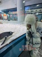 【原创内容129】跨年带妹妹来海洋世界啦0