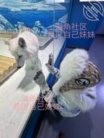 【原创内容129】跨年带妹妹来海洋世界啦2