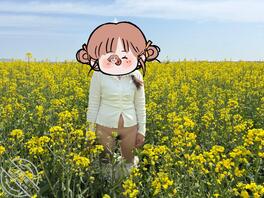 油菜花户外露出0