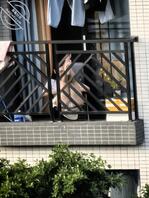 #长焦#少妇