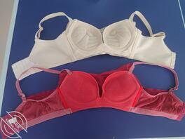 拿老婆的姐姐内衣撸1