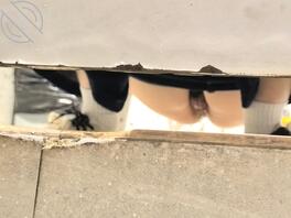 为什么我拍的都拍不清楚啊？好愤怒啊。1