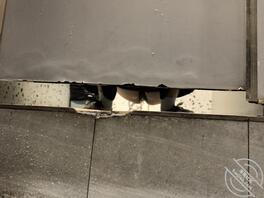 为什么我拍的都拍不清楚啊？好愤怒啊。2