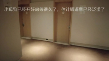 少妇舔JB，急不可耐的要插入