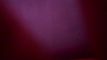 以爱之名的母狗