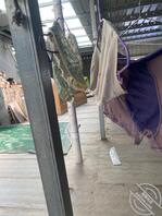 有没有郭店的朋友喜欢玩内裤的0