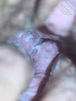 今日老婆的骚逼，全是白浆0