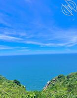 绍兴找长期金主0