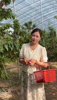 绿母我的销售骚妈妈马素英1