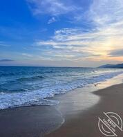 哪位哥们知道，夏邑妇幼附近的那几个老熟女搬哪去了？想找她们干一下0