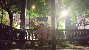 公园夜晚露出自慰