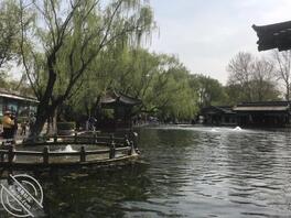 求真实有效陪读妈妈