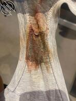 【原味内裤】骚逼女友穿内裤被我后入带淫水的内裤，可以考虑出