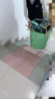 33.小兰她妈来我家了!1
