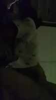 老婆说想要个8块腹肌的猛男