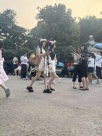 迪士尼的快乐！0