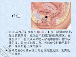 G点高清照片教程31