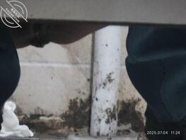 偷拍黑批少妇尿尿1