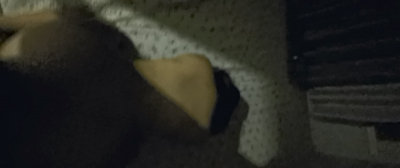 唐山迁安出来卖的