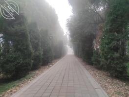 明天和表妹出去旅游，怎么才能上了她1