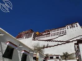 成都双流求个阿姨