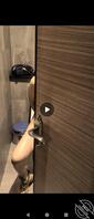 带母狗女友露出2.02